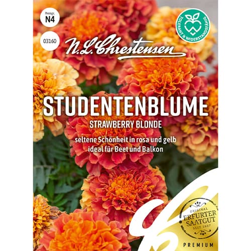 Neven Strawberry Blonde slika 1 interface.art 86203