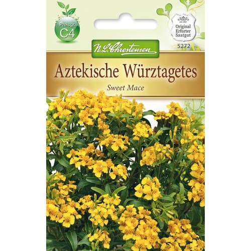 Neven, Sweet Mace slika 1 interface.art 78942