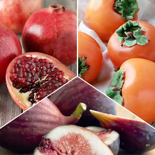 Nevjerojatna ponuda! Egzotično voće, set od 3 vrste interface.art interface.photo 1 Nevjerojatna ponuda! Egzotično voće, set od 3 vrste slika 1 interface.art 4878