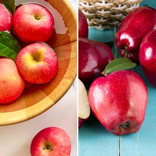 Nevjerojatna ponuda! Jabuka Duo, set od 2 sorte slika 1 interface.art 5872