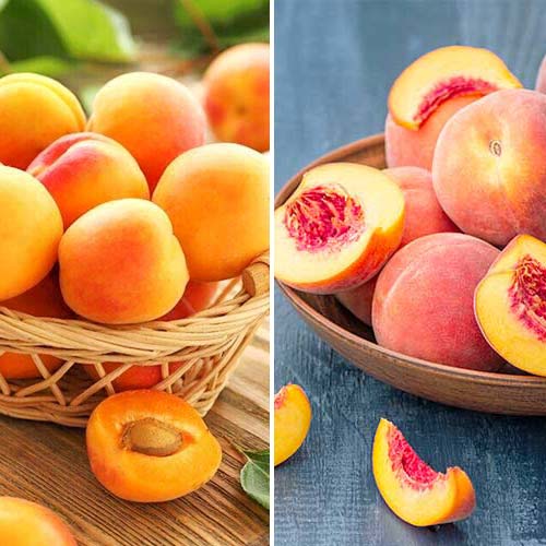 Nevjerojatna ponuda! Obilan urod, set od 2 vrste interface.art interface.photo 1 Nevjerojatna ponuda! Obilan urod, set od 2 vrste slika 1 interface.art 5676