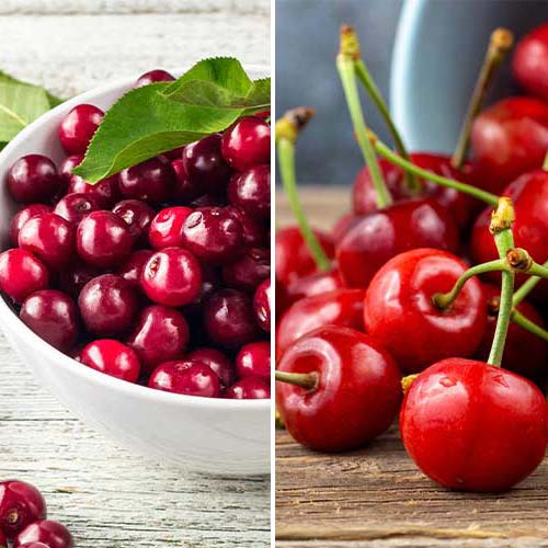 Nevjerojatna ponuda! Višnja i trešnja Duo, set od 2 sorte slika 1 interface.art 4874