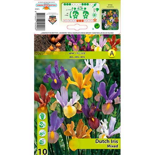 Nizozemski iris mix multicolor slika 1 interface.art 76229