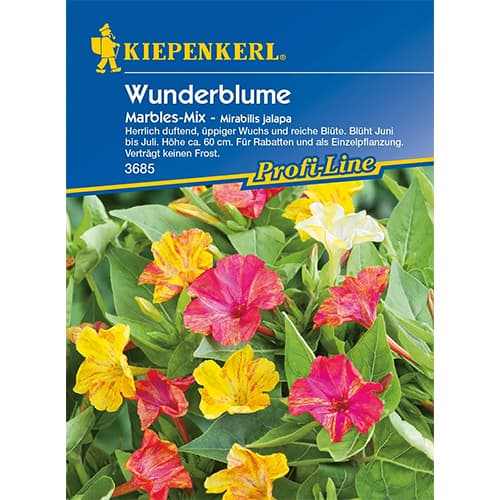 Noćna dama Marbles, višebojna mješavina slika 1 interface.art 87762