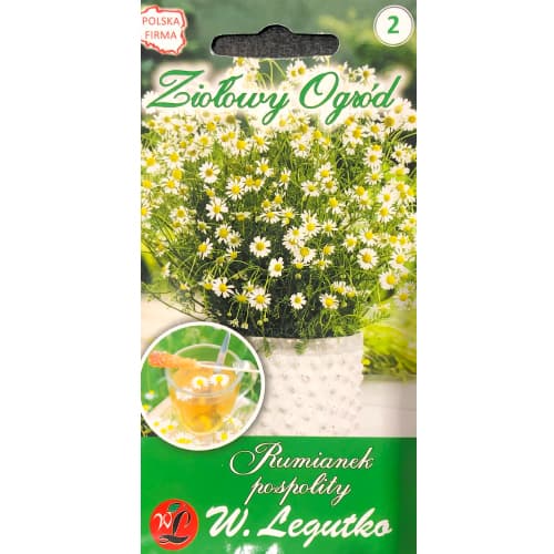 Obična kamilica interface.art interface.photo 1 Obična kamilica slika 1 interface.art 69686