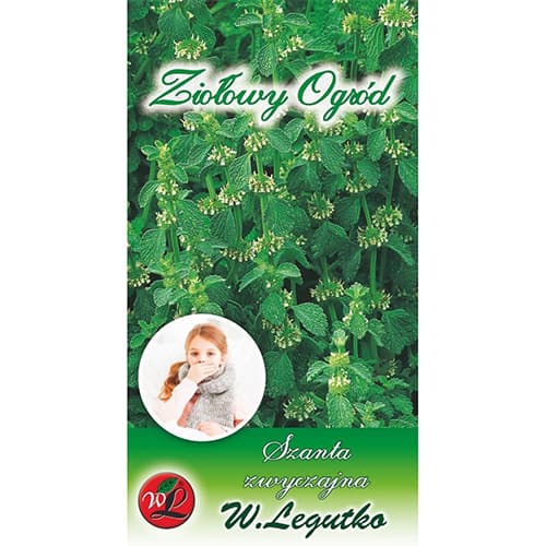 Obična marulja slika 1 interface.art 69689