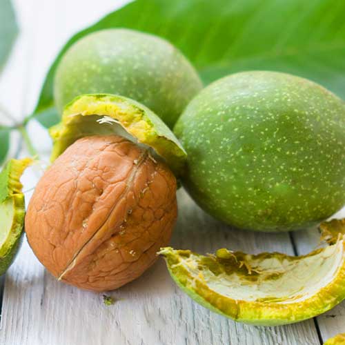 Orah Chandler, С2 slika 1 interface.art 7041