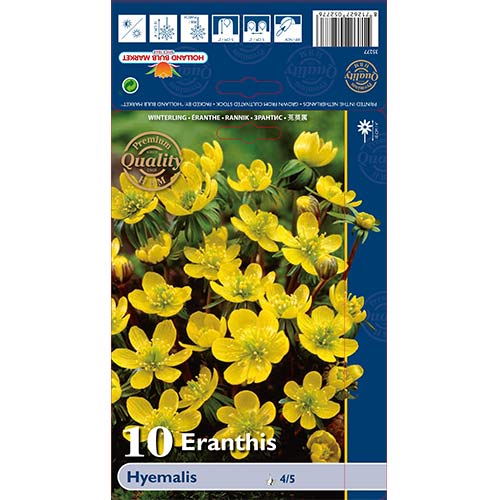 Ozimnica slika 1 interface.art 68052