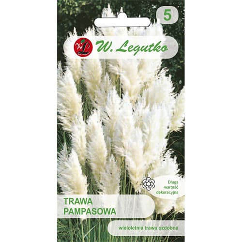 Pampas trava, bijela slika 1 interface.art 69634