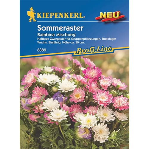 Patuljasta lijepa kata Bambina,višebojna mješavina slika 1 interface.art 87764