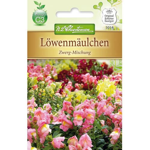 Patuljasta zijevalica, mix multicolor slika 1 interface.art 78889