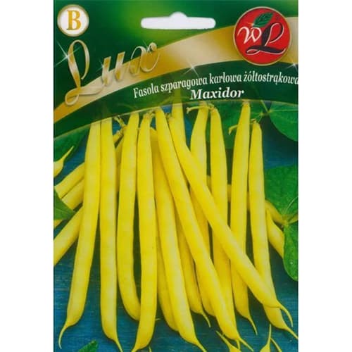 Patuljasti grah Maxidor slika 1 interface.art 96818