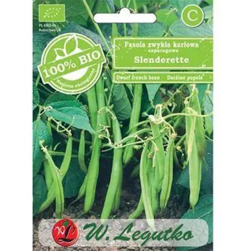 Patuljasti grah Slenderette slika 1 interface.art 96828