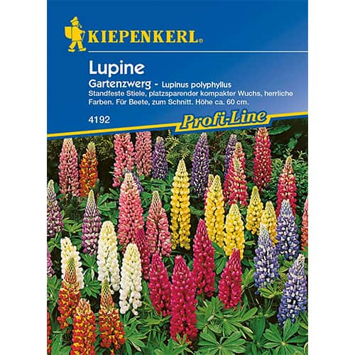 Patuljasti vrtni lupin slika 1 interface.art 77449