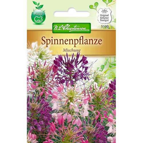 Paukov cvijet, mix multicolor interface.art interface.photo 1 Paukov cvijet, mix multicolor slika 1 interface.art 78902