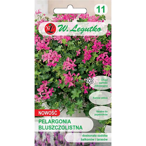 Pelargonija Fuchsia F1 slika 1 interface.art 78631
