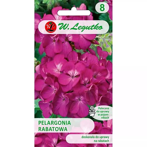 Pelargonija Gama F1 ljubičasta slika 1 interface.art 78633