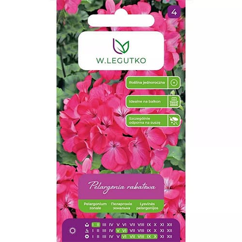 Pelargonija Gama F1, ružičasta slika 1 interface.art 69621