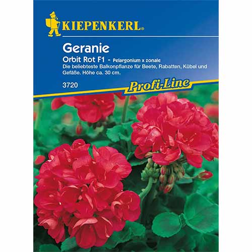 Pelargonija Orbit Rot F1 slika 1 interface.art 96536