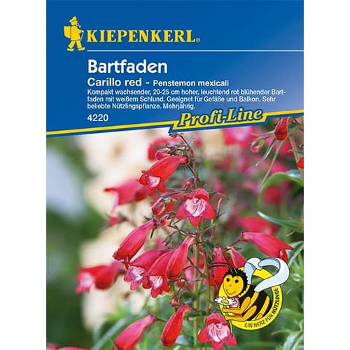 Penstemon Carillo Red slika 1 interface.art 86248