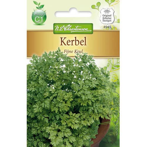 Peršin Fijne Krul slika 1 interface.art 78854