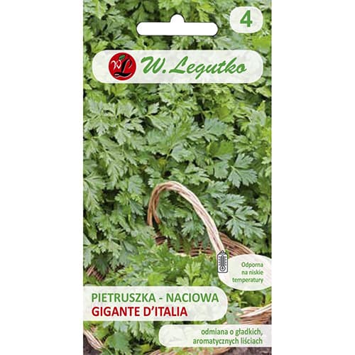 Peršin Gigante d'Italia Legutko slika 1 interface.art 69513