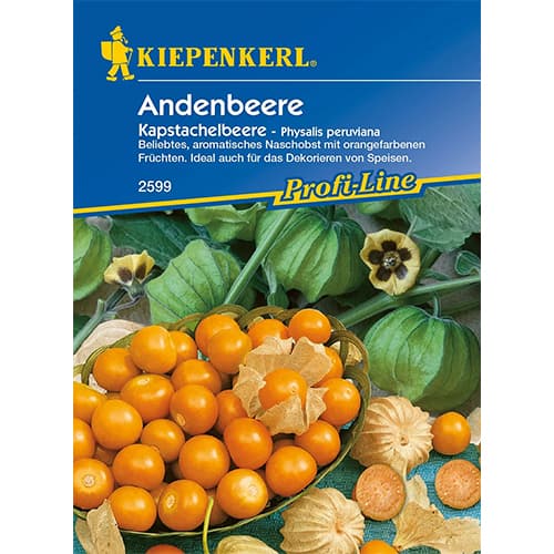 Peruanska jagoda Kiepenkerl slika 1 interface.art 86239