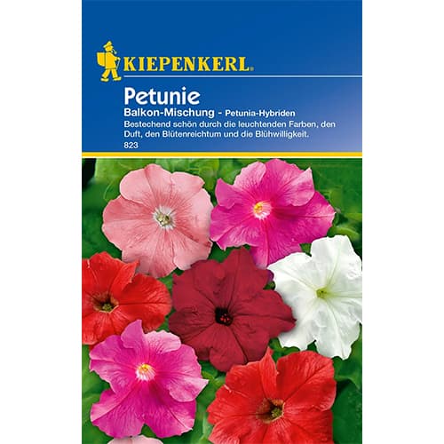 Petunije za balkon, višebojna mješavina Kiepenkerl slika 1 interface.art 86298