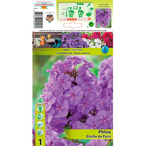 Plameni cvijet Etoille de Paris slika 1 interface.art 76347