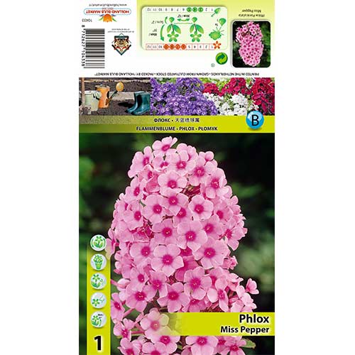 Plameni cvijet Miss Pepper slika 1 interface.art 70446