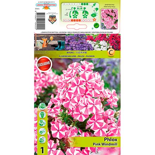 Plameni cvijet Pink Windmill slika 1 interface.art 76348
