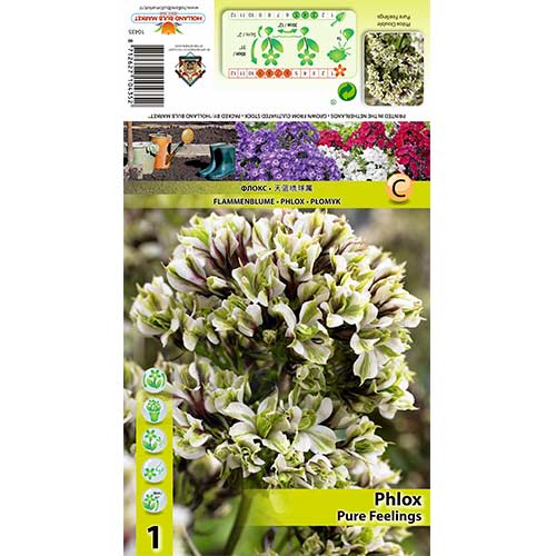 Plameni cvijet Pure Feelings slika 1 interface.art 70448