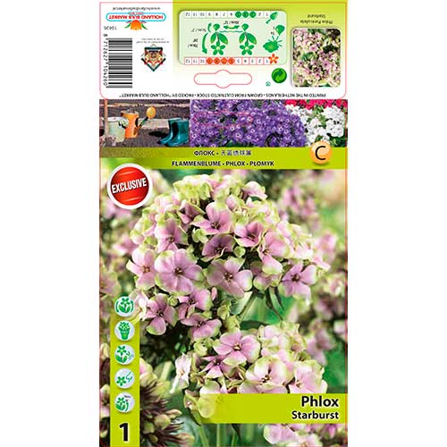 Plameni cvijet Starburst slika 1 interface.art 76349