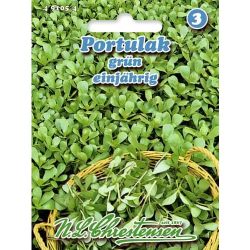 Portulak, jednogodišnji slika 1 interface.art 96439