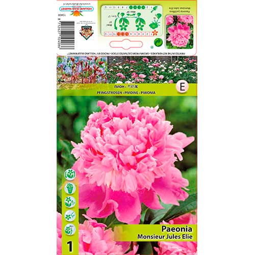 Potonika Monsieur Jules Elie slika 1 interface.art 76615