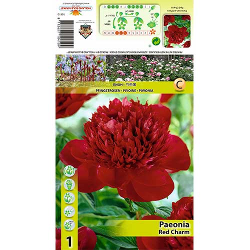 Potonika Red Charm interface.art interface.photo 1 Potonika Red Charm slika 1 interface.art 70444