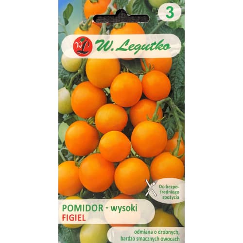 Rajčica Figiel slika 1 interface.art 69522