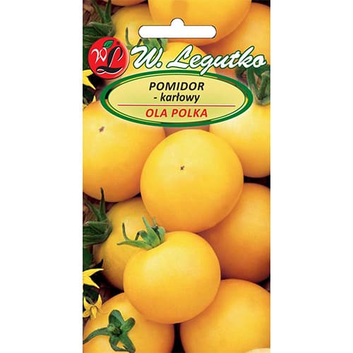 Rajčica Ola Polka slika 1 interface.art 69516