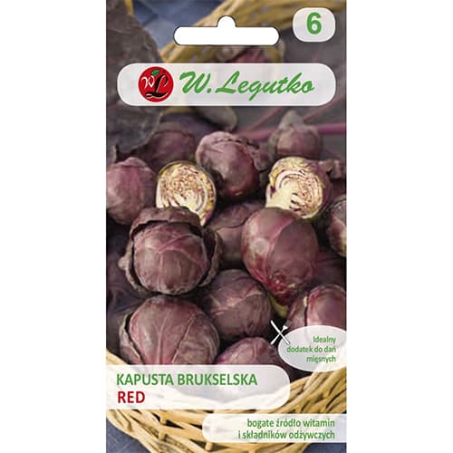 Raštika de Bruxelles slika 1 interface.art 69479