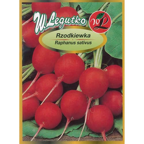 Rotkva Carmen slika 1 interface.art 69535