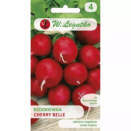 Rotkva Cherry Belle slika 1 interface.art 69536