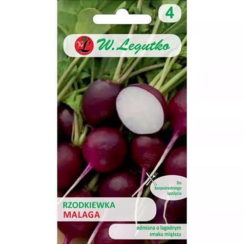 Rotkva Malaga slika 1 interface.art 86896