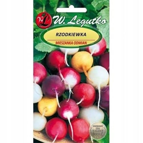 Rotkva, mješavina sorti 2 slika 1 interface.art 69538