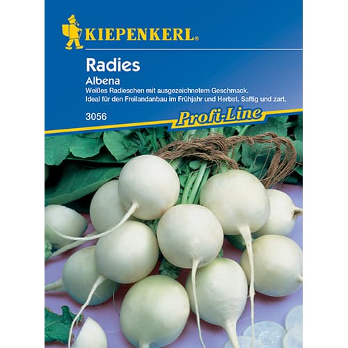 Rotkvica Albena slika 1 interface.art 86508