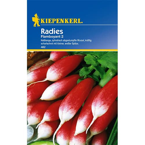 Rotkvica Flamboyant 2 slika 1 interface.art 96650