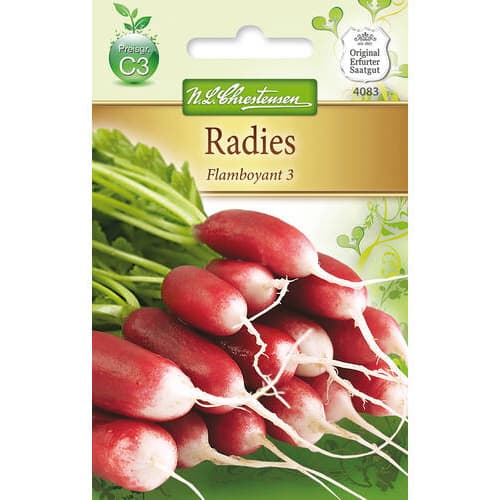 Rotkvica Flamboyant 3 slika 1 interface.art 78741