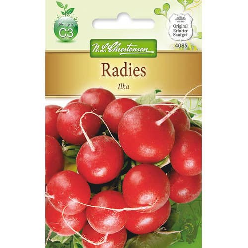 Rotkvica Ilka slika 1 interface.art 78742