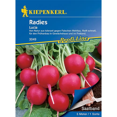 Rotkvica Lucia F1 slika 1 interface.art 86510