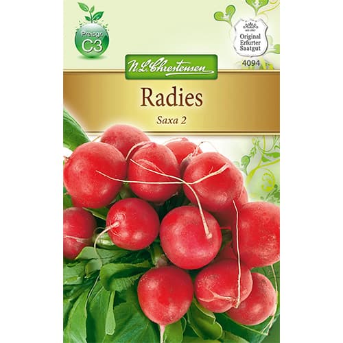 Rotkvica Saxa 2 Chrestensen slika 1 interface.art 78802