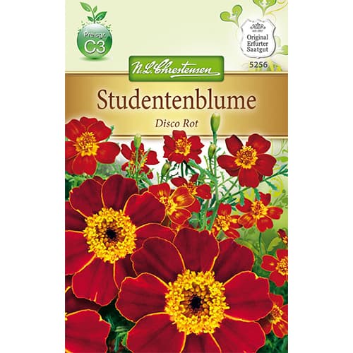 Neven Disco rot slika 1 interface.art 78745